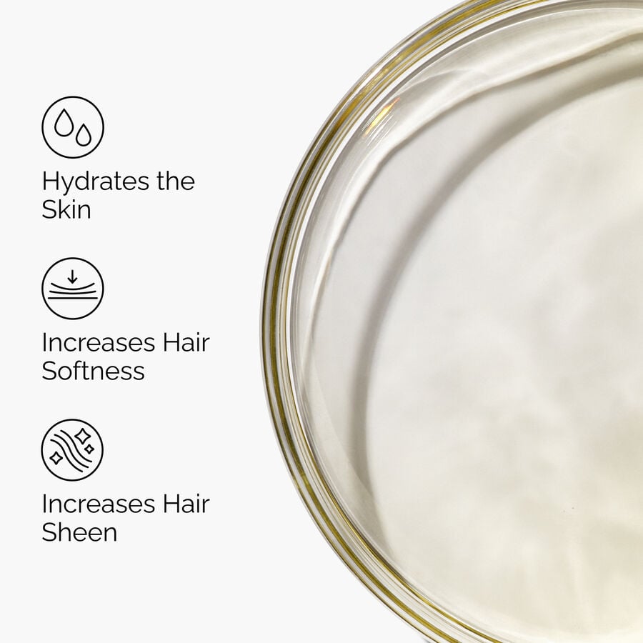 100-organic-cold-pressed-moroccan-argan-oil-b6 FY25-D41247-ORD-Web-PDP-100-Argan-Oil-1x1-EN-3.jpg