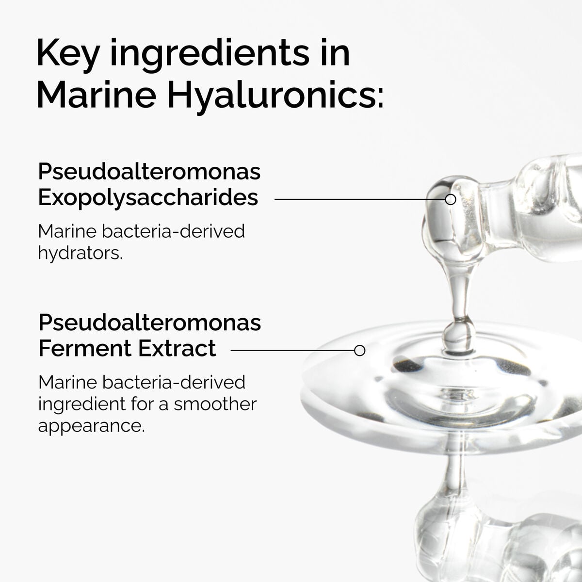 marine-hyaluronics-l6 FY25-D41247-ORD-Web-PDP-Marine-Hya-1x1-EN-2a.jpg